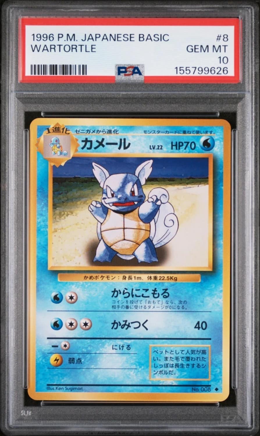Wartortle