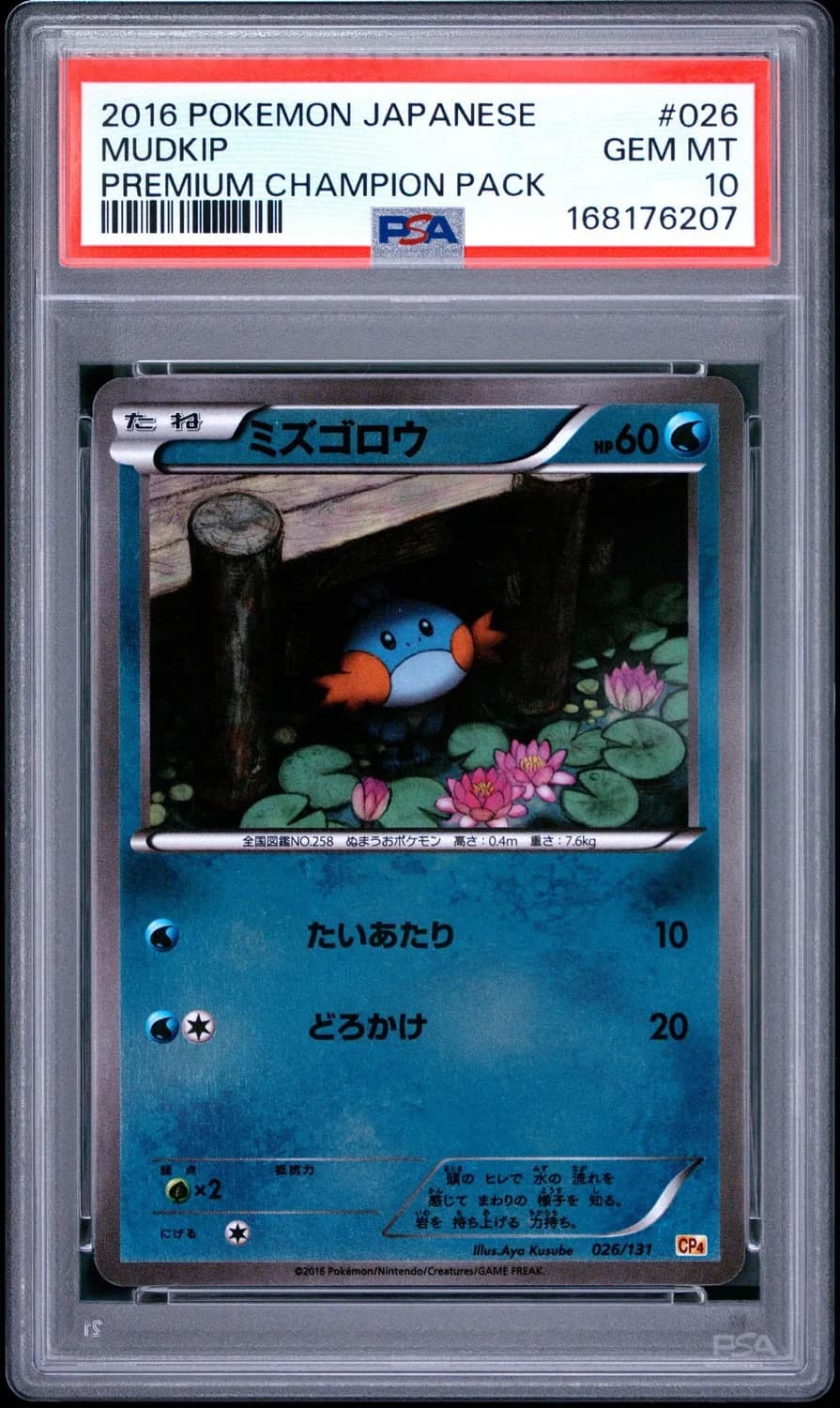 Mudkip