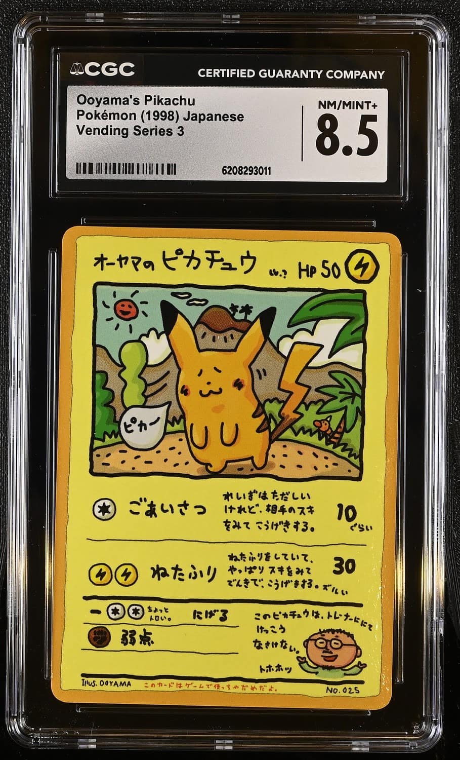 Ooyama'S Pikachu