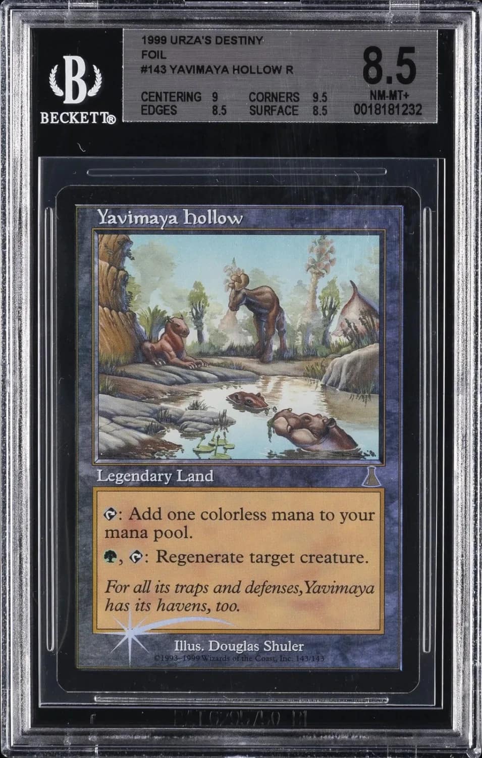 Yavimaya Hollow