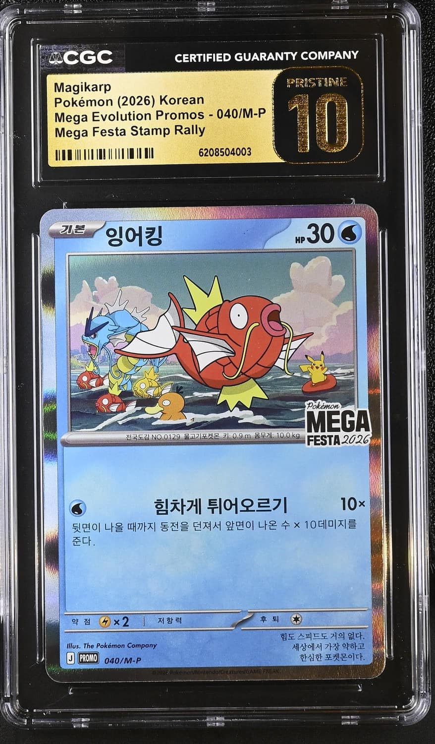 Magikarp