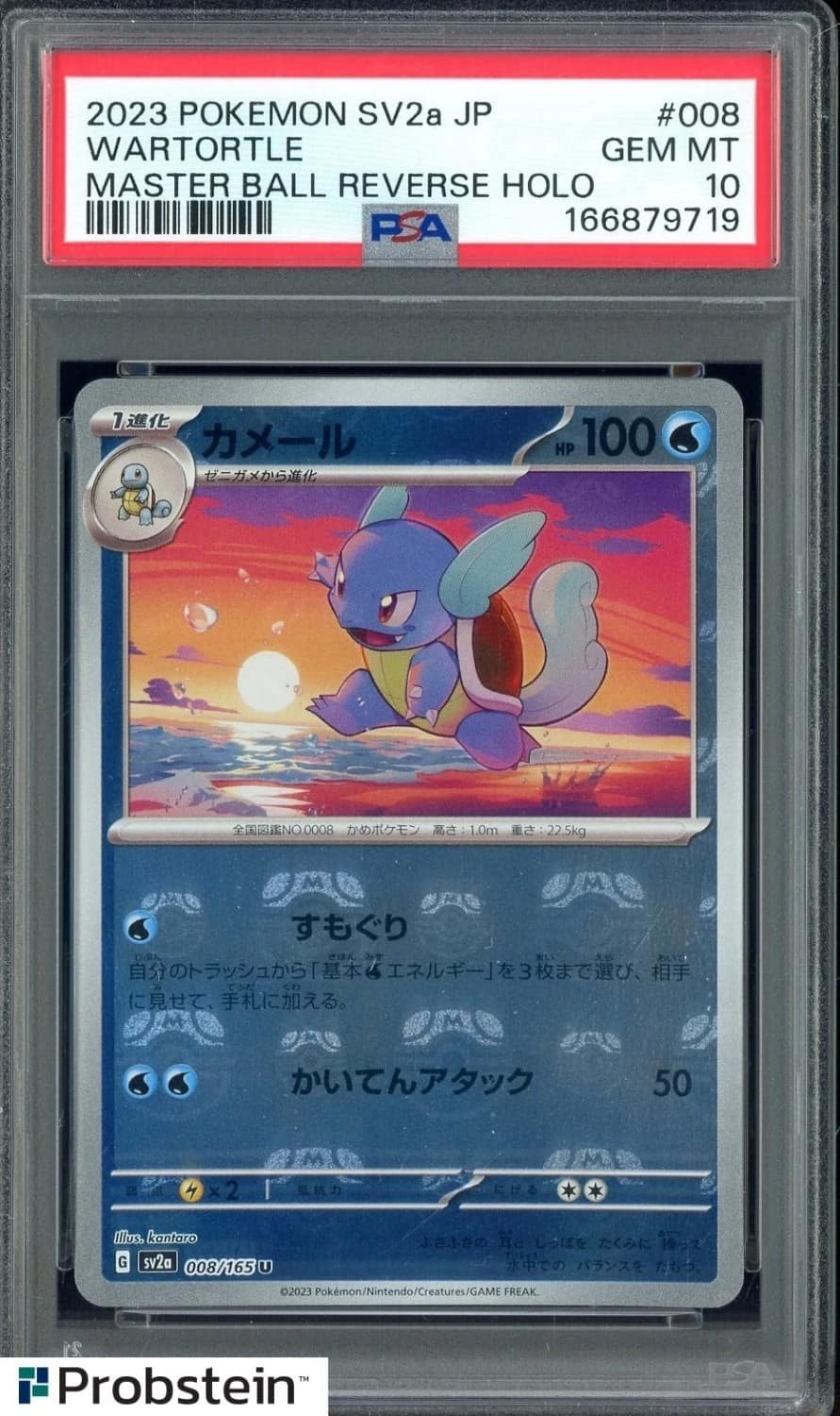 Wartortle