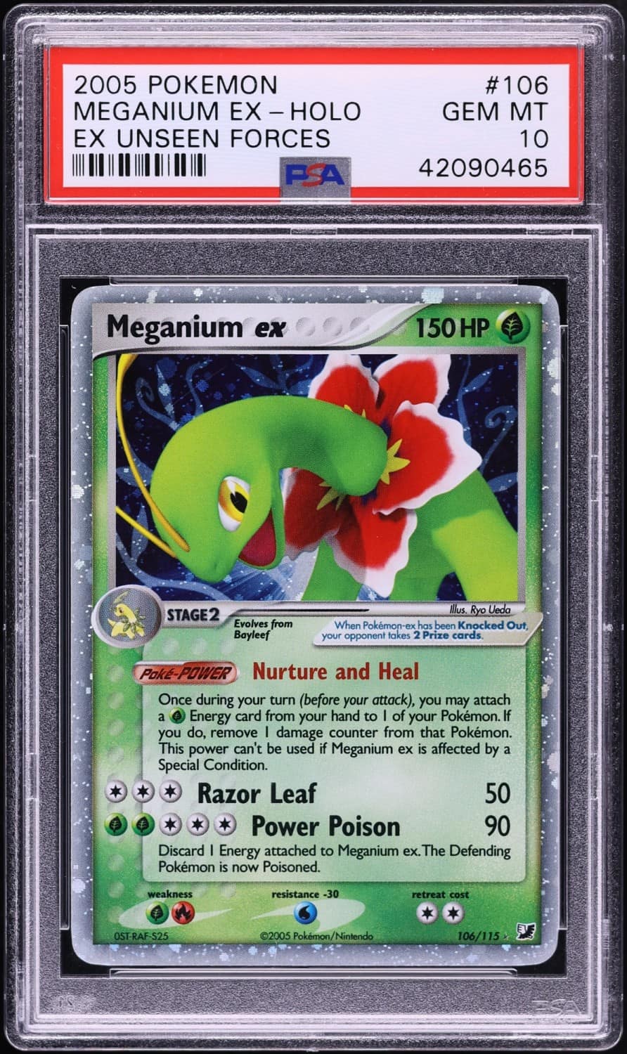 Meganium Ex