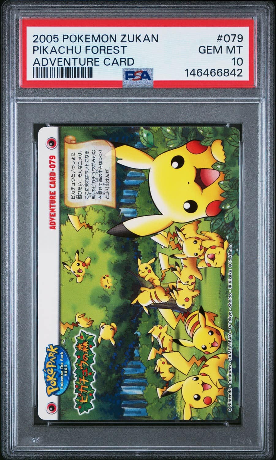 Pikachu Forest