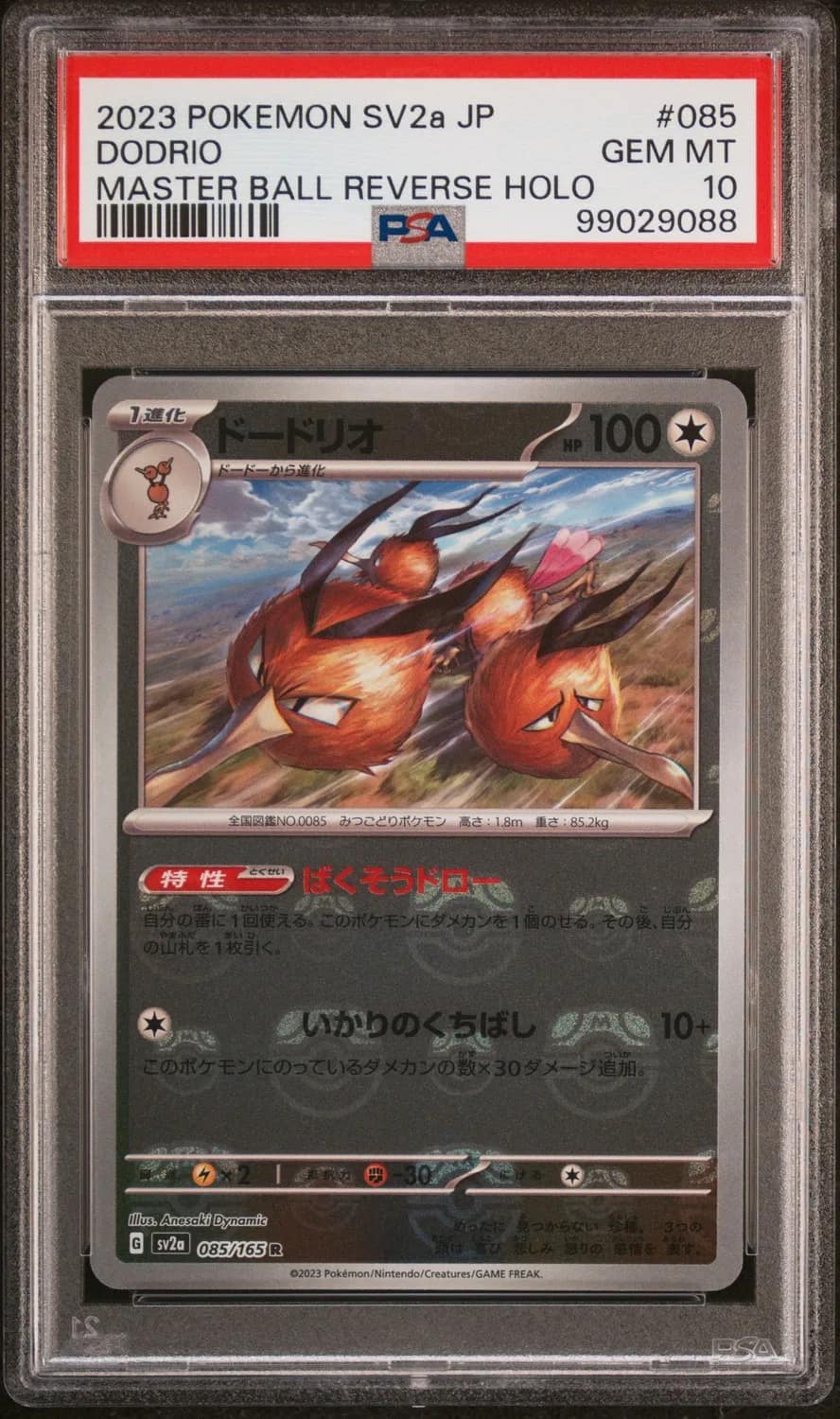 Dodrio