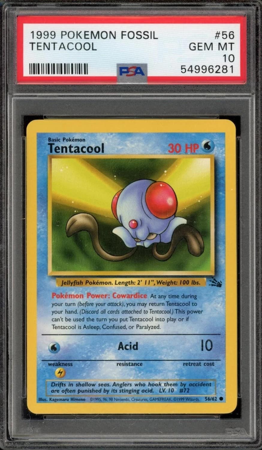 Tentacool