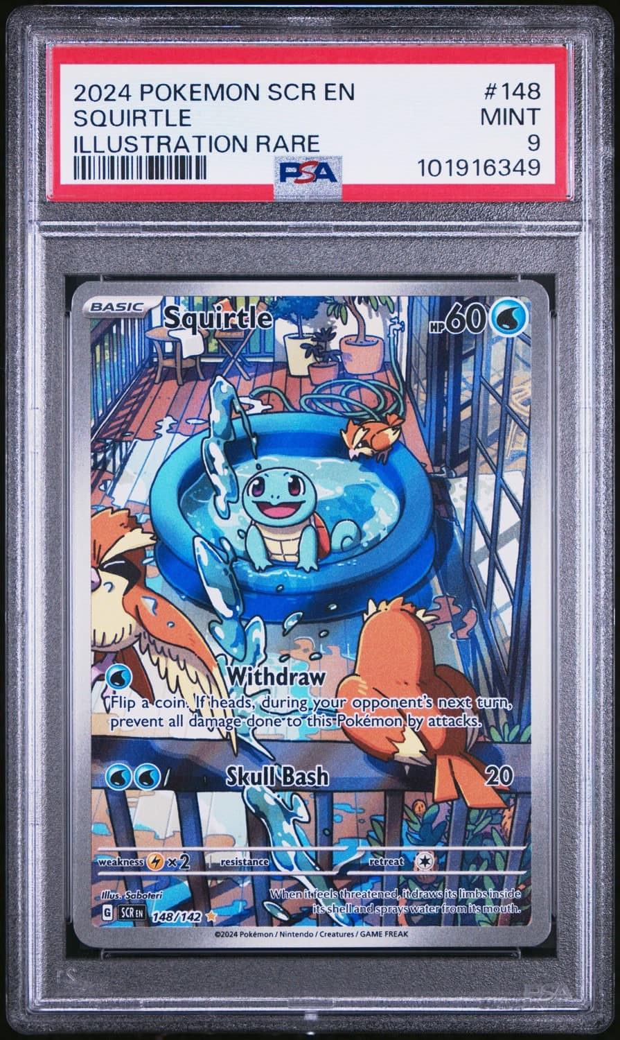 Squirtle