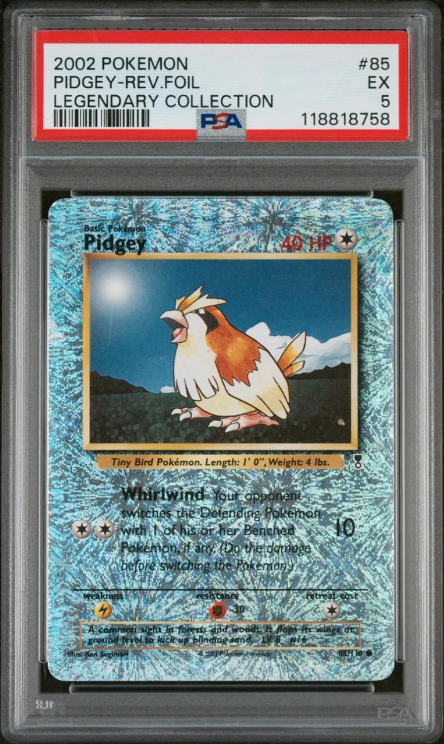 Pidgey