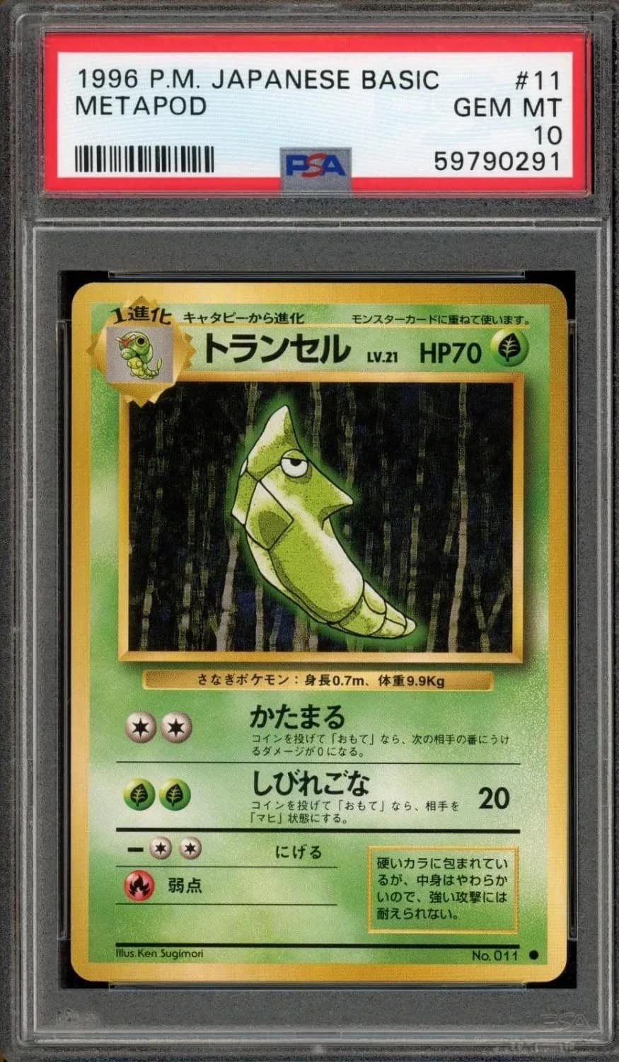 Metapod