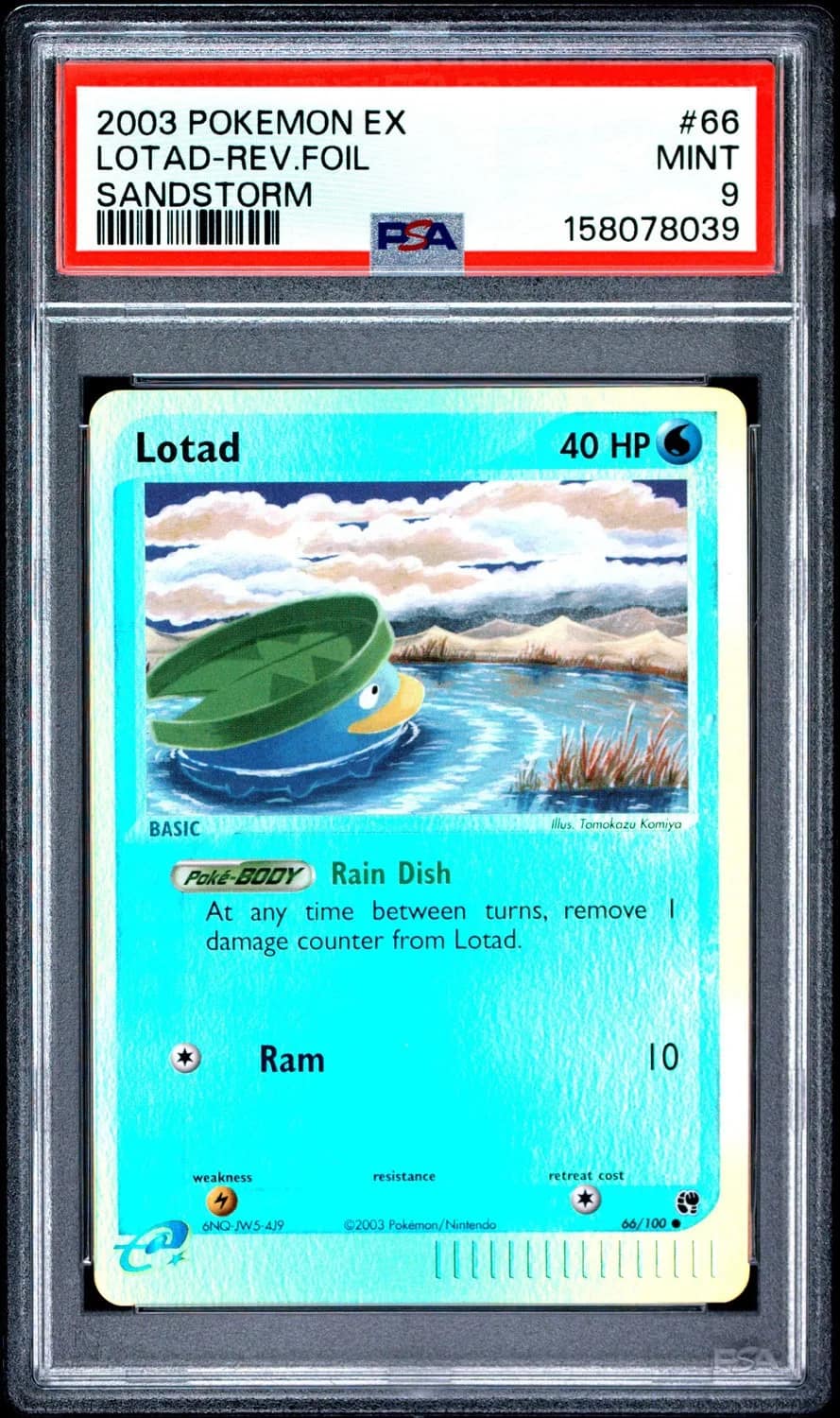 Lotad
