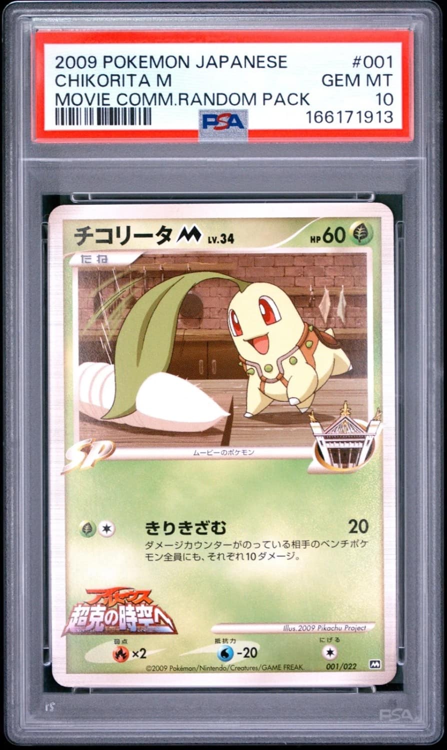 Chikorita M