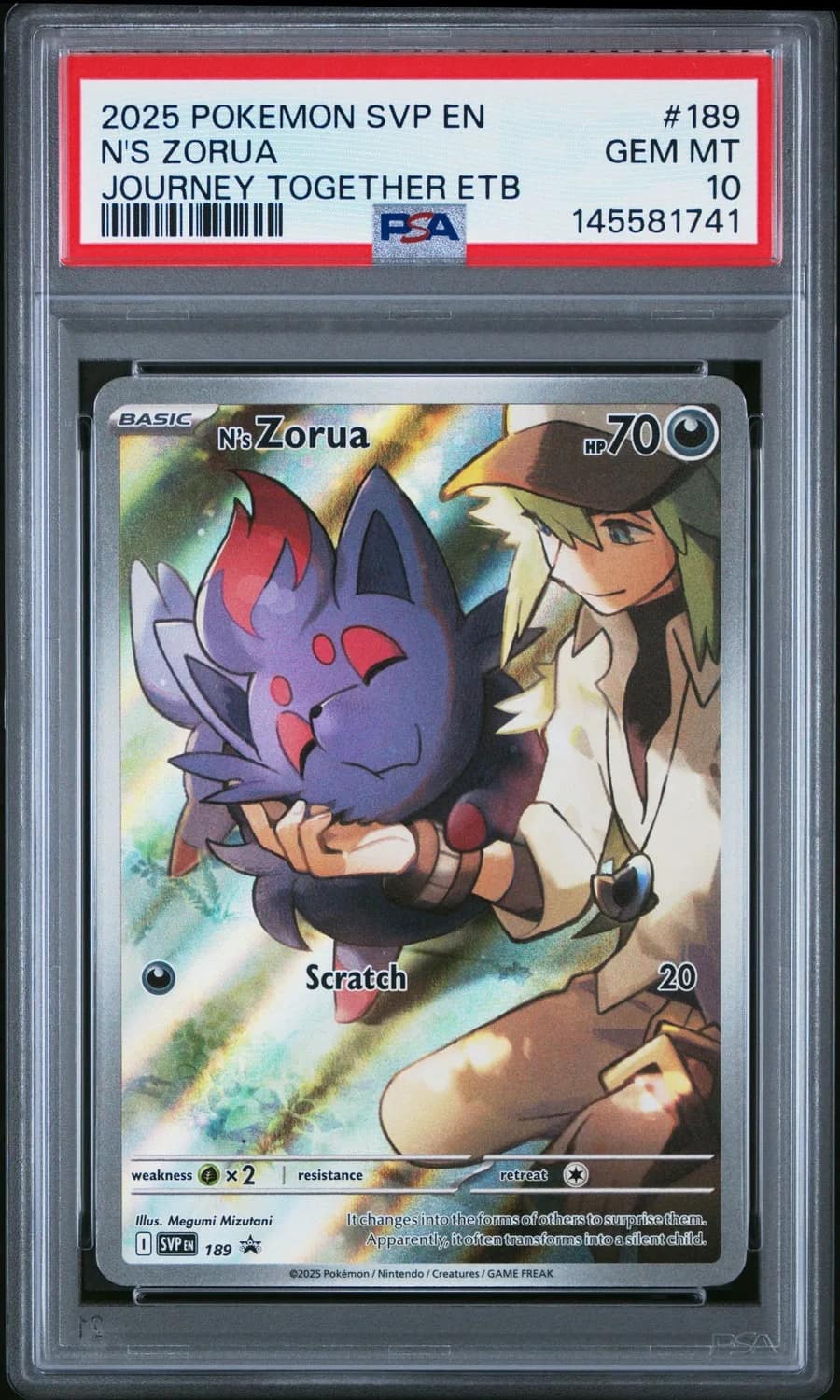 N'S Zorua