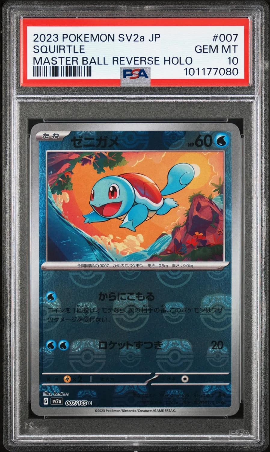 Squirtle
