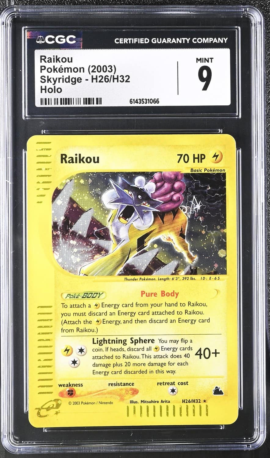 Raikou