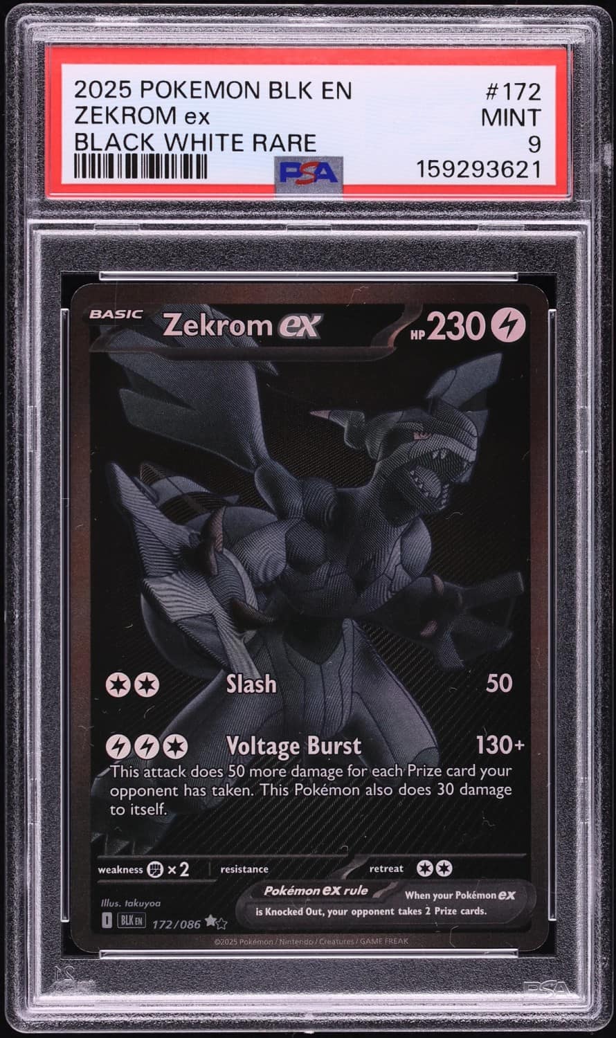 Zekrom Ex