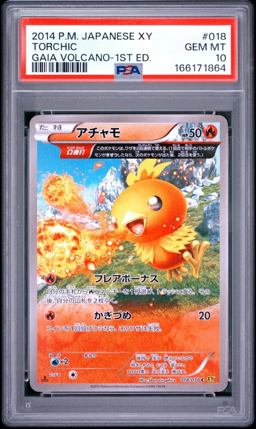 Torchic