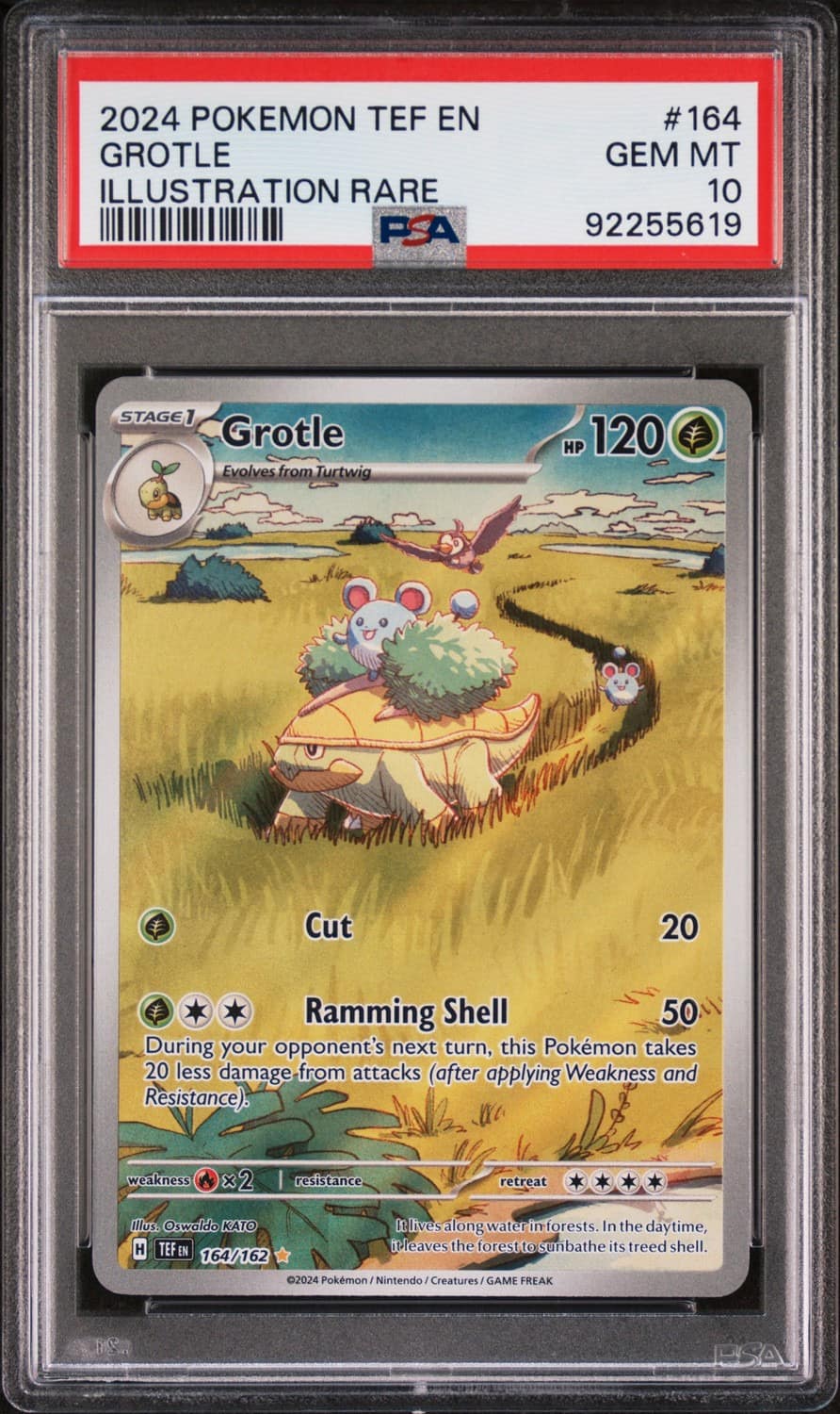 Grotle