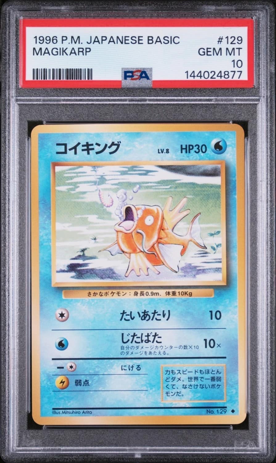 Magikarp