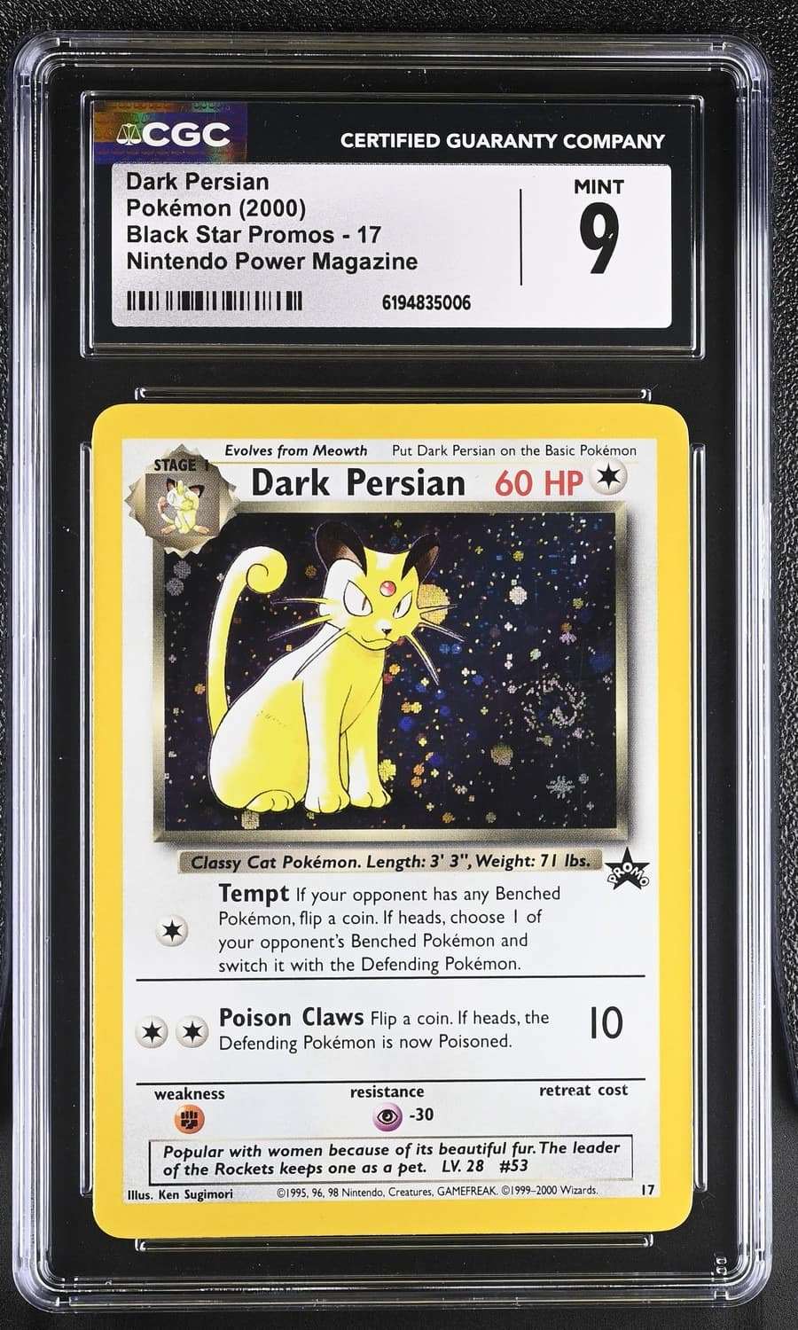 Dark Persian