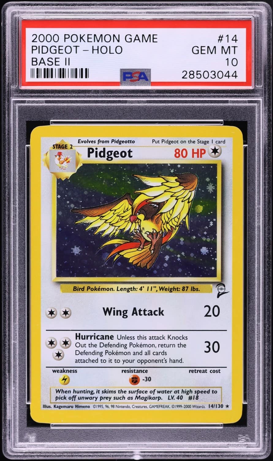 Pidgeot