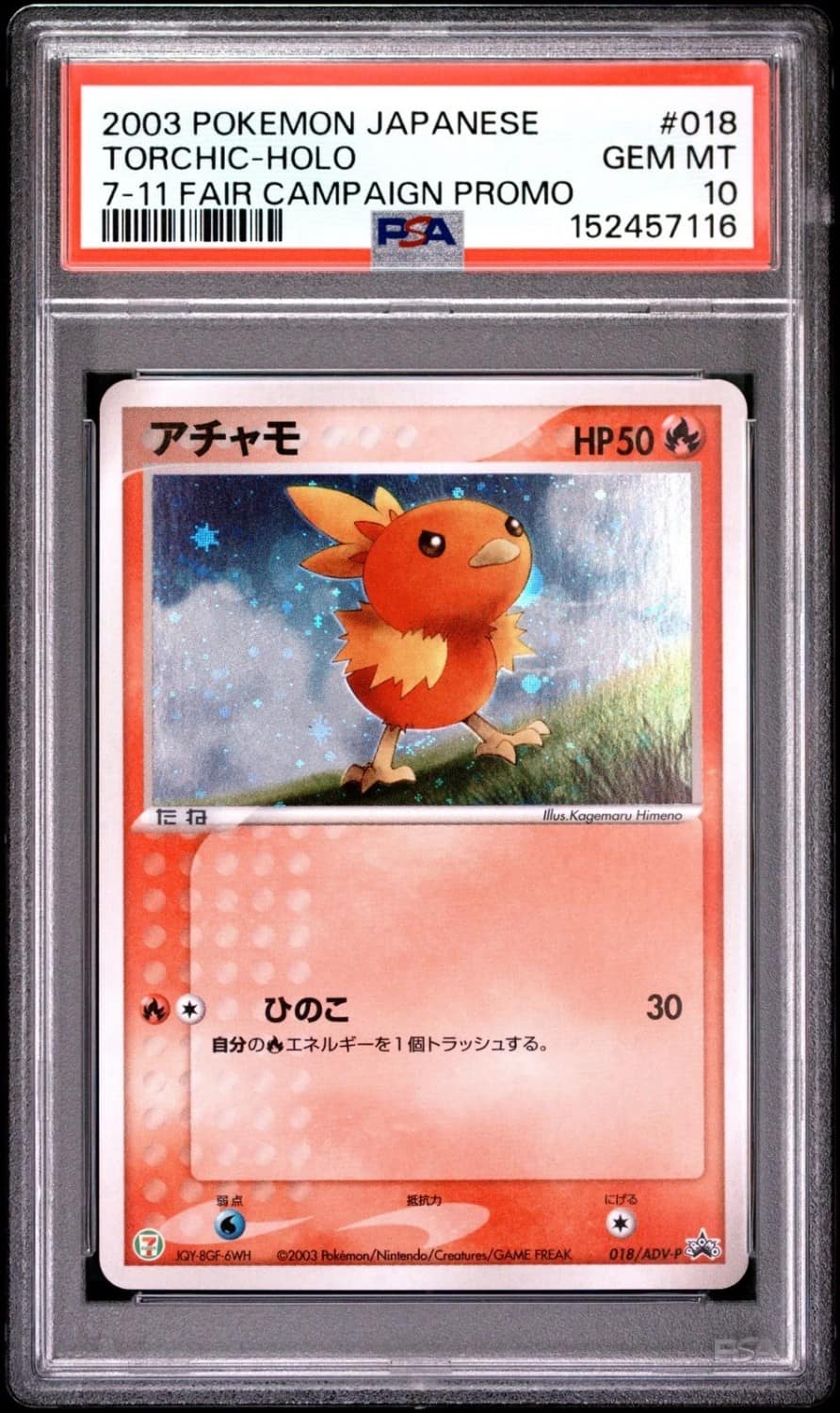 Torchic