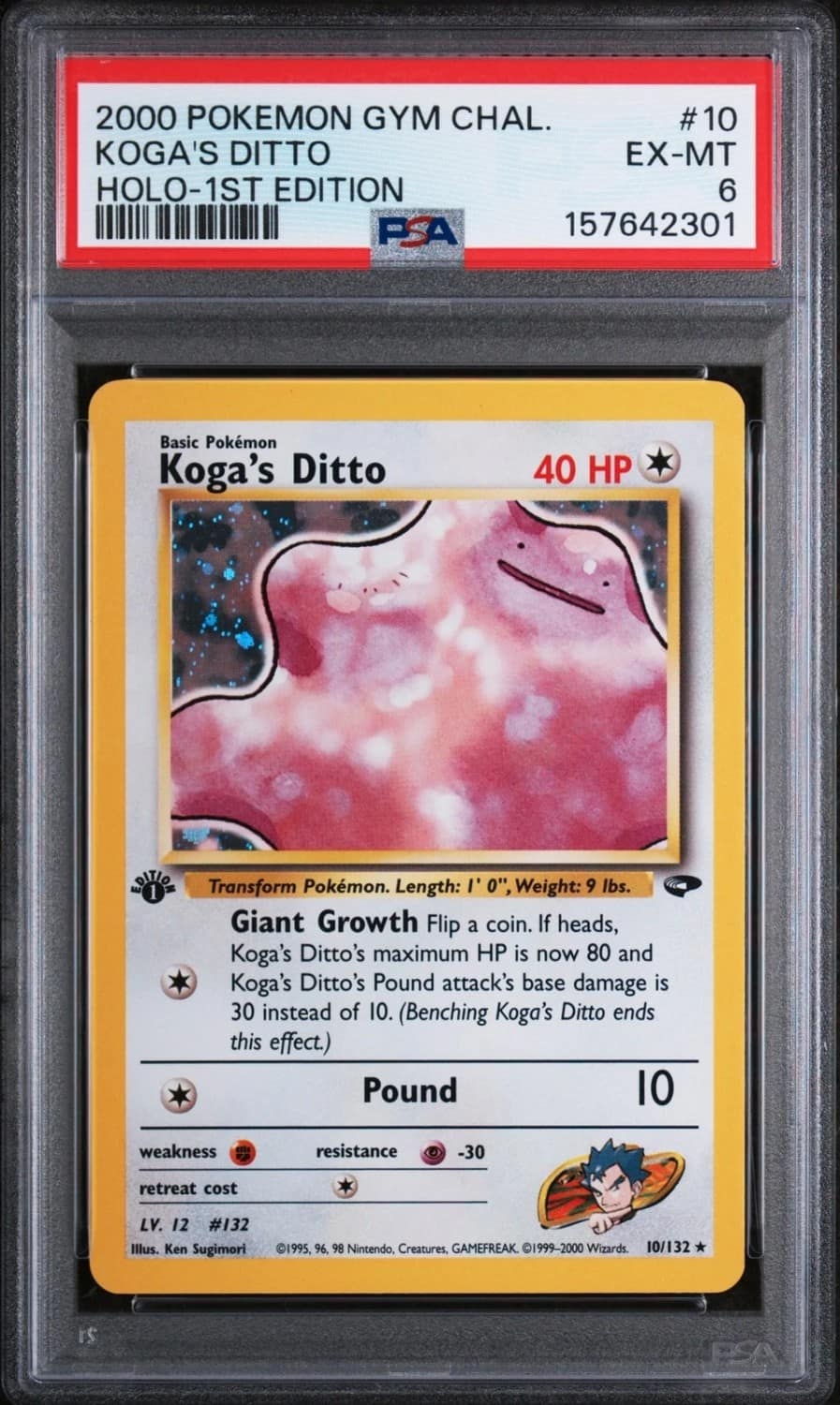 Koga'S Ditto