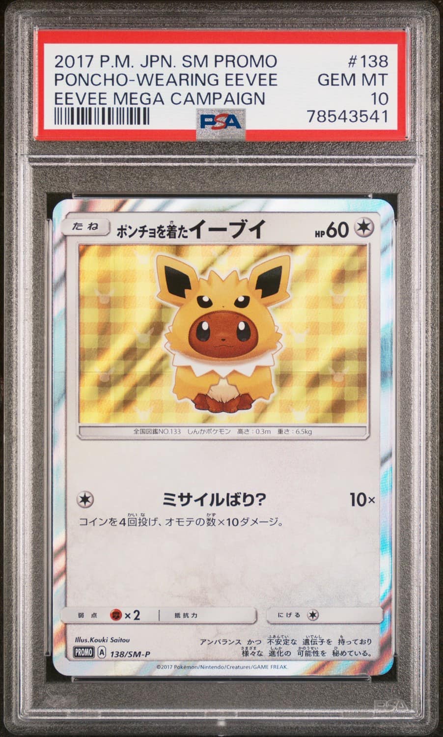 Poncho-Wearing Eevee