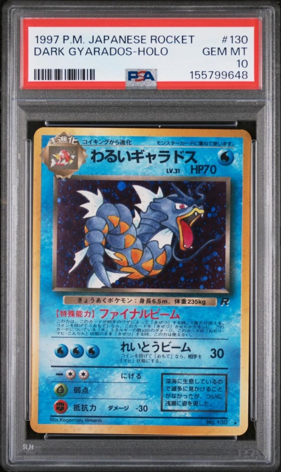 Dark Gyarados