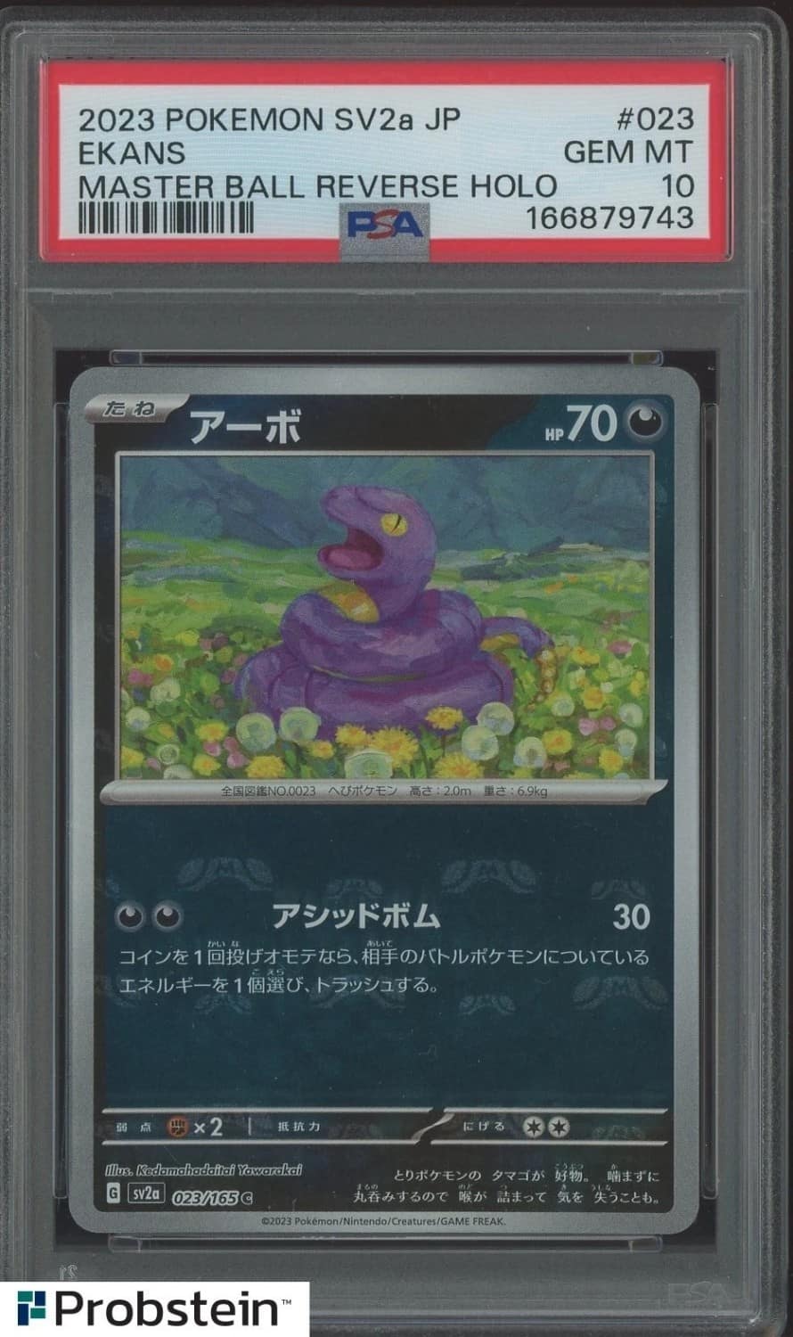 Ekans