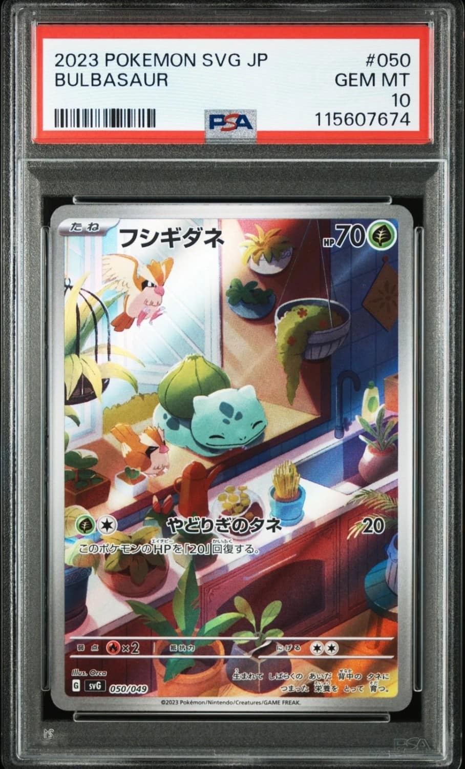 Bulbasaur