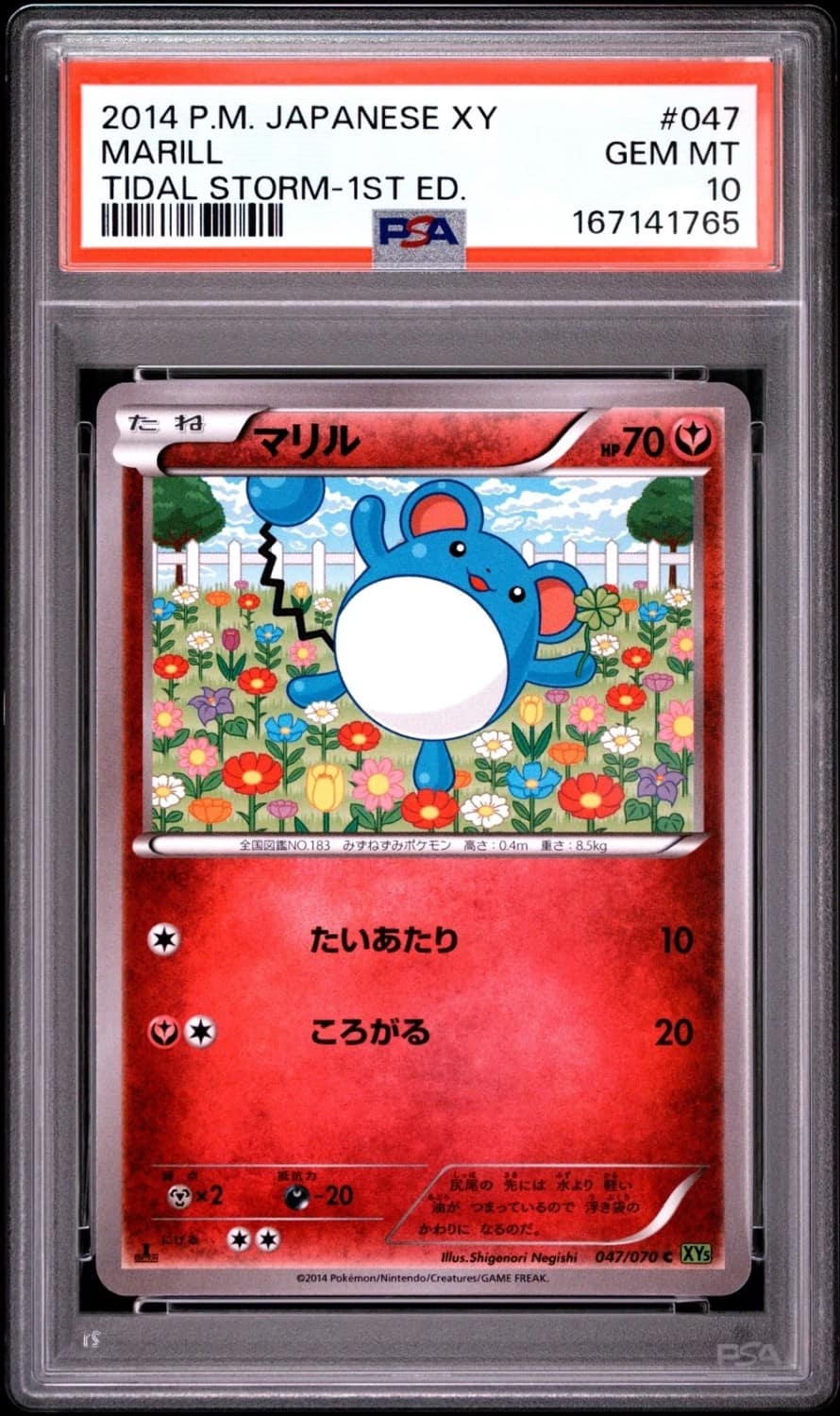 Marill