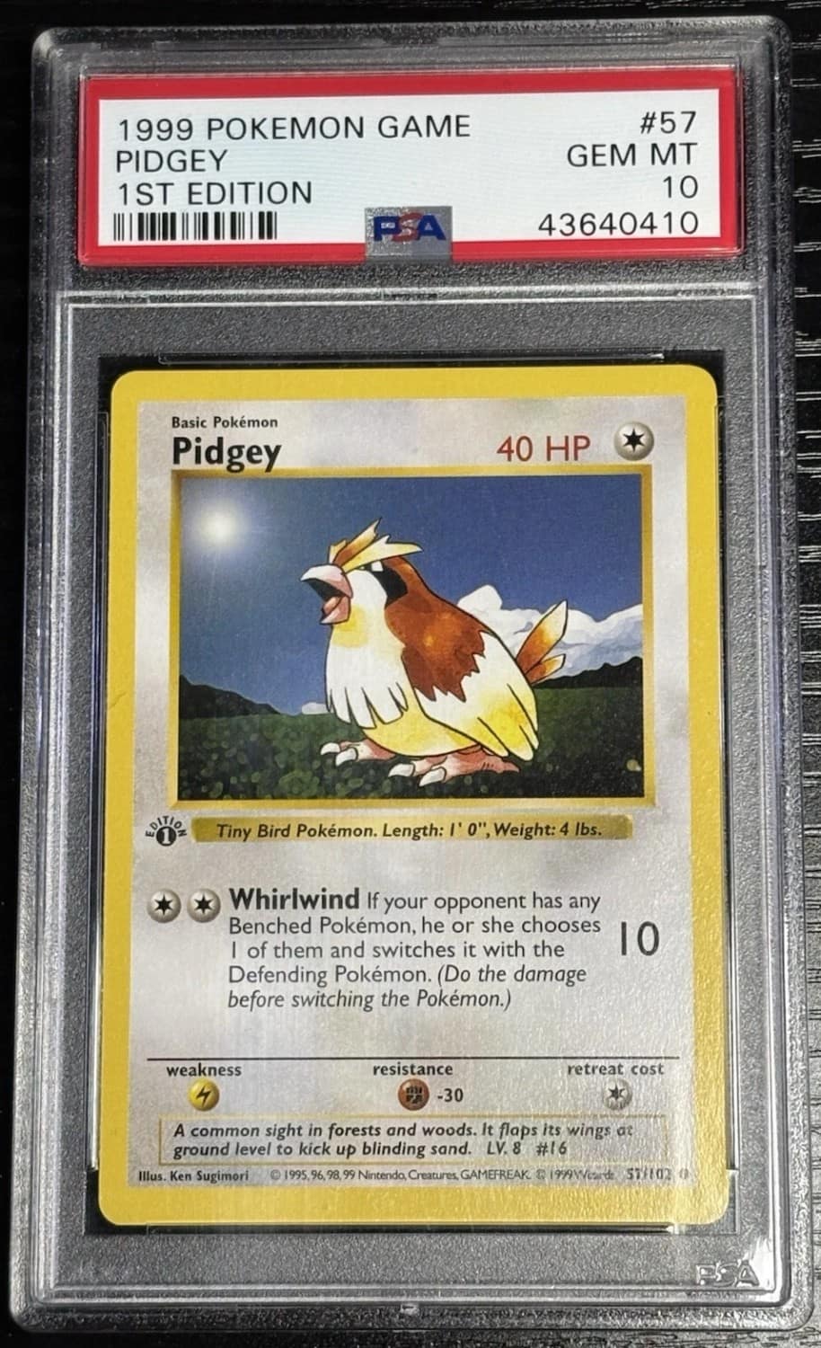 Pidgey