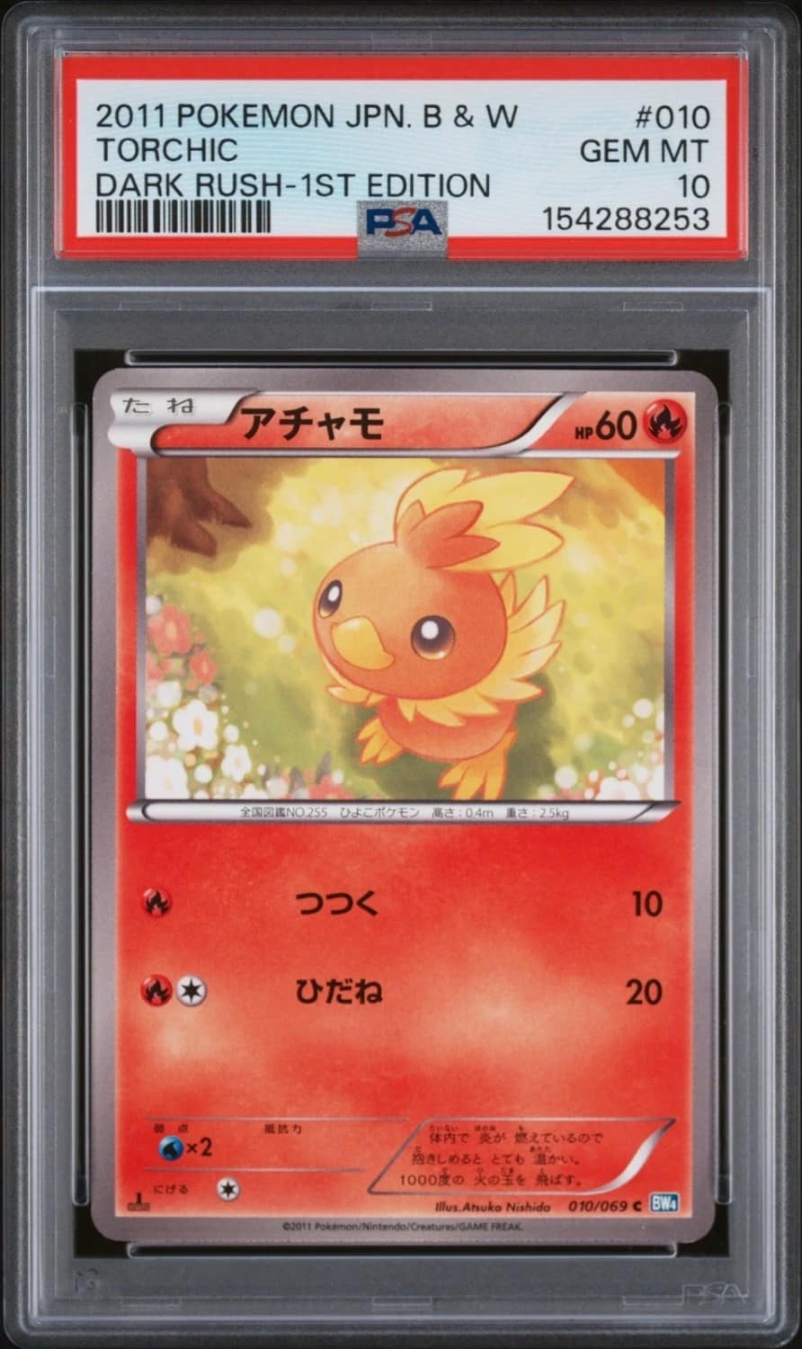 Torchic