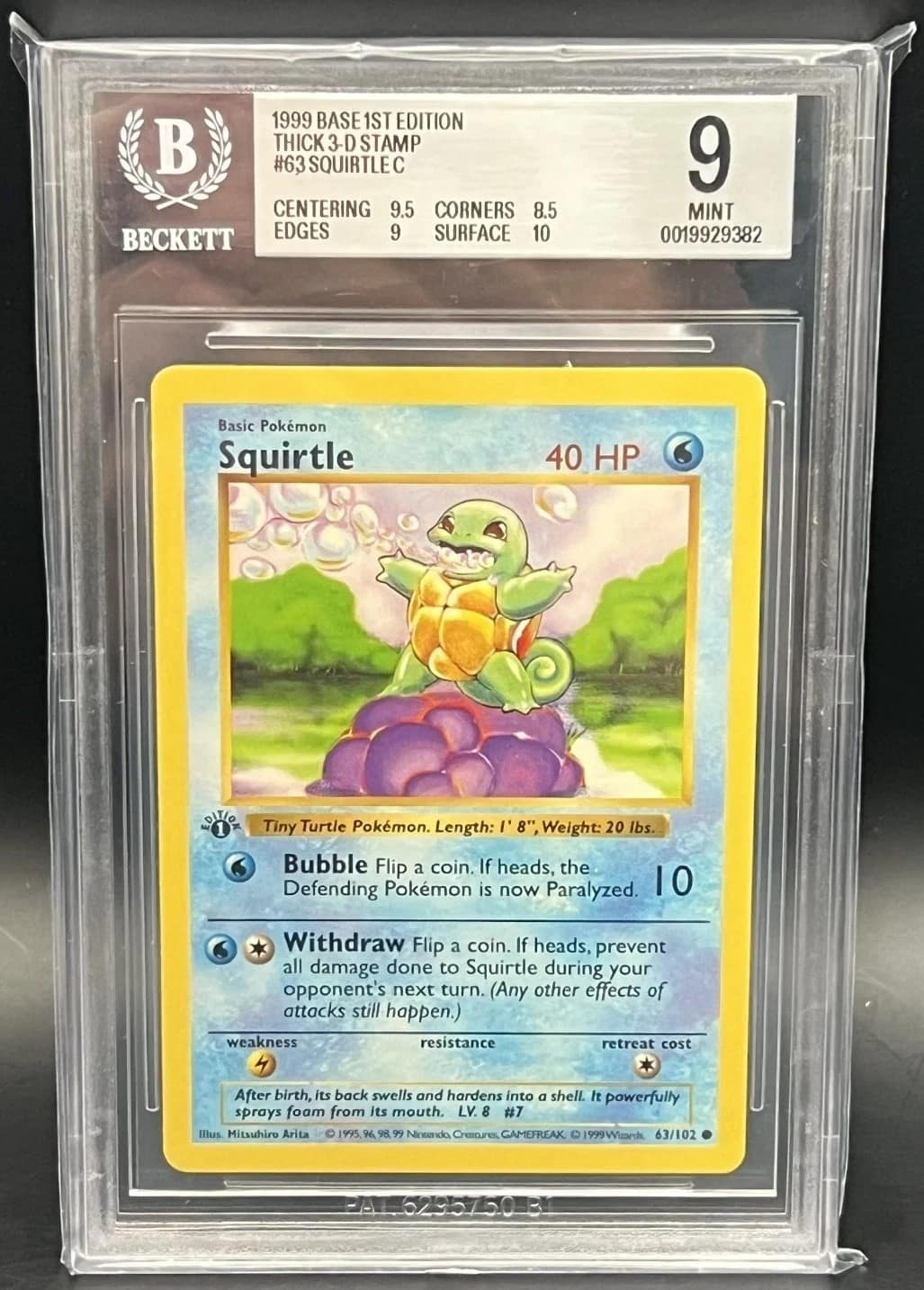 Squirtle C