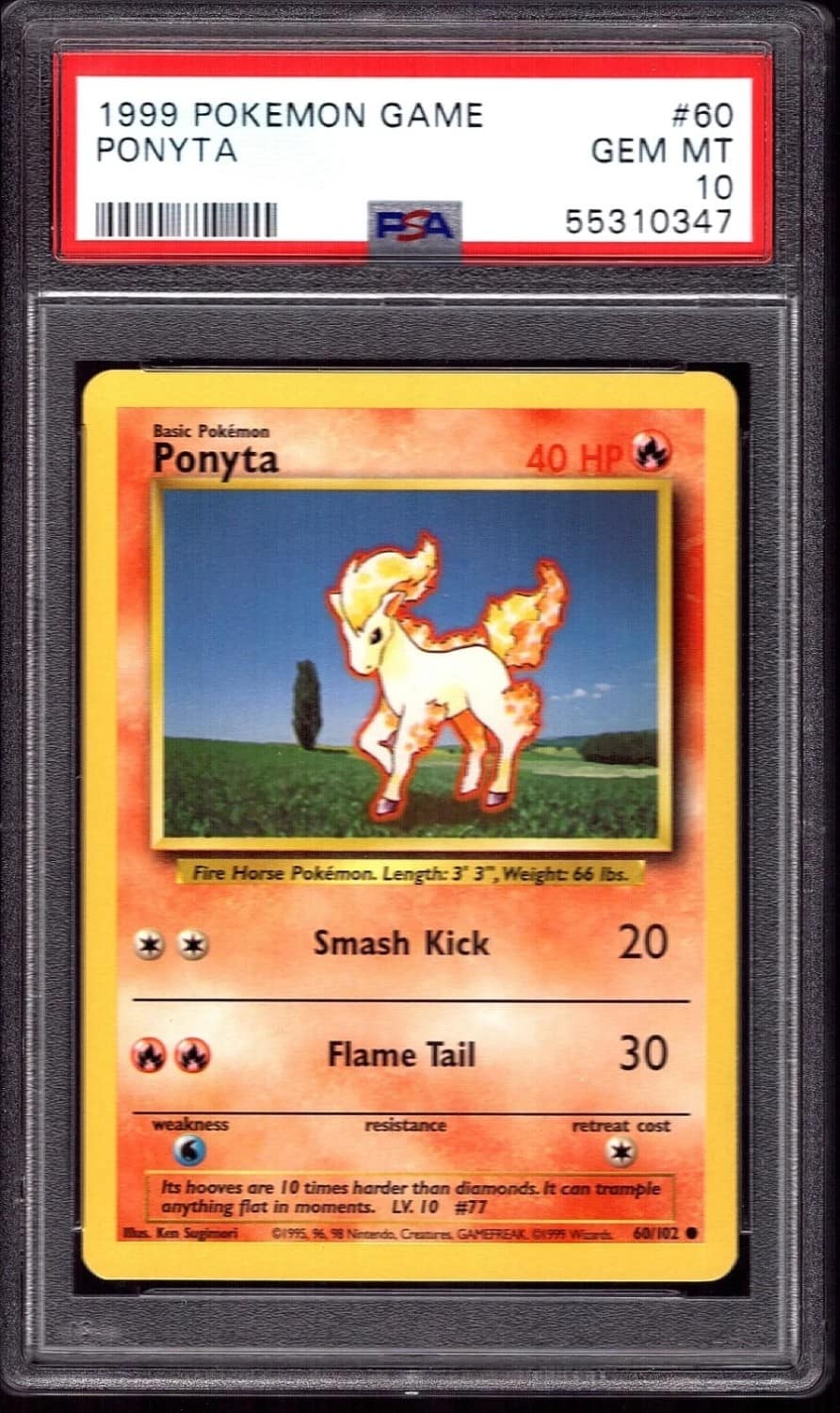 Ponyta