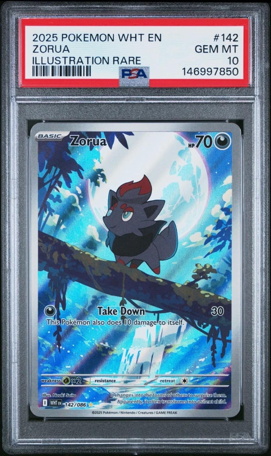 Zorua