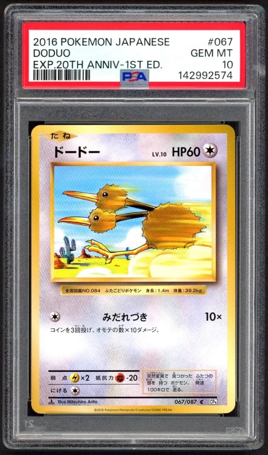 Doduo