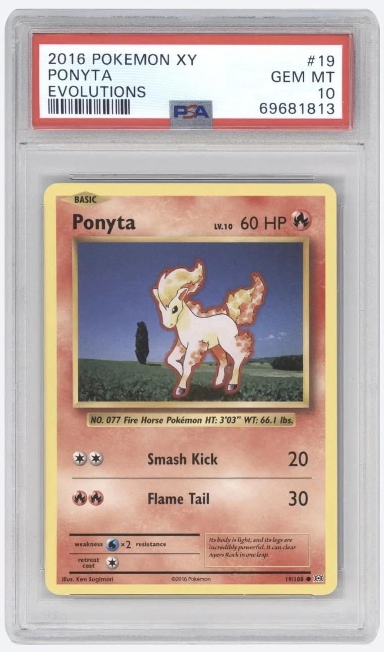 Ponyta