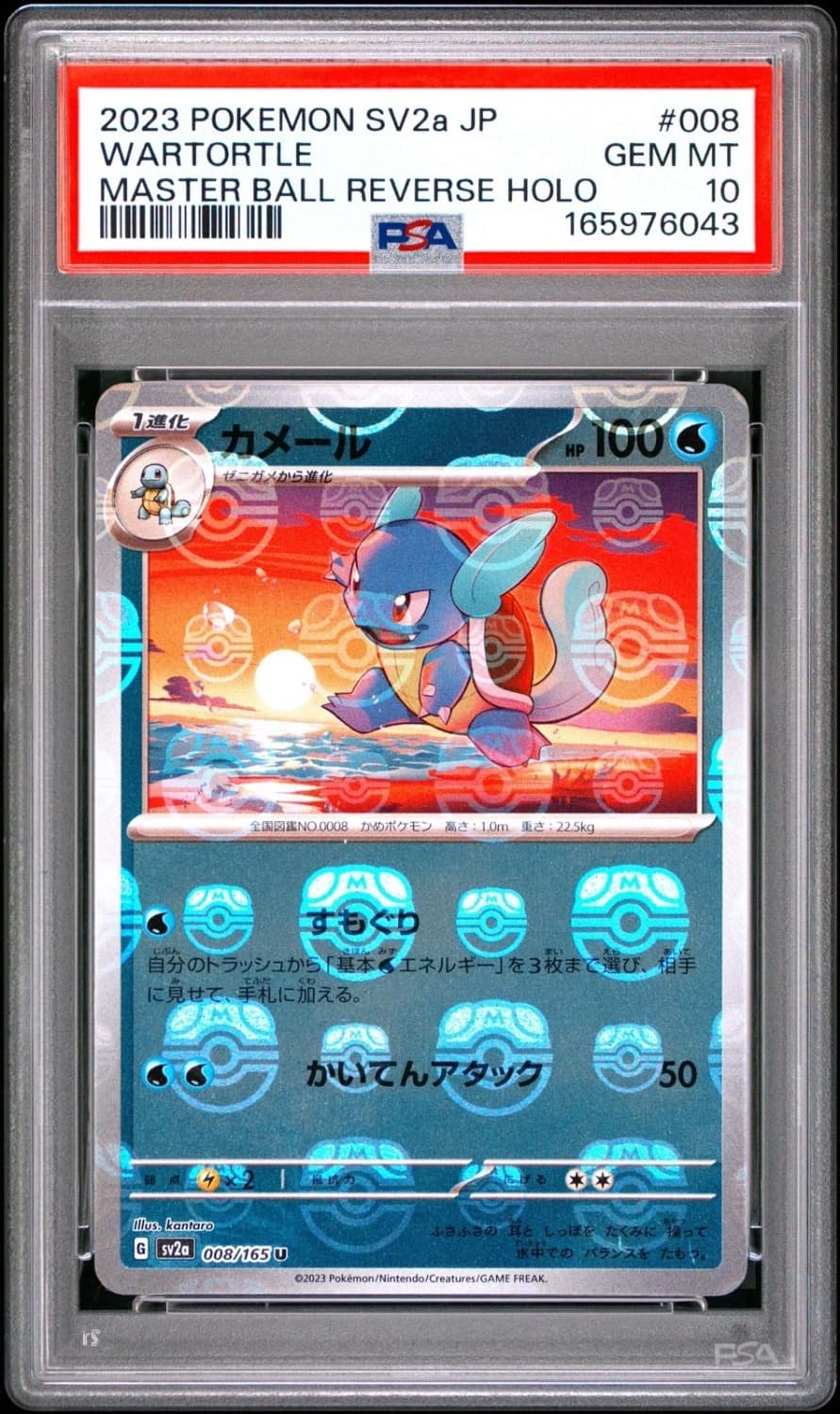 Wartortle