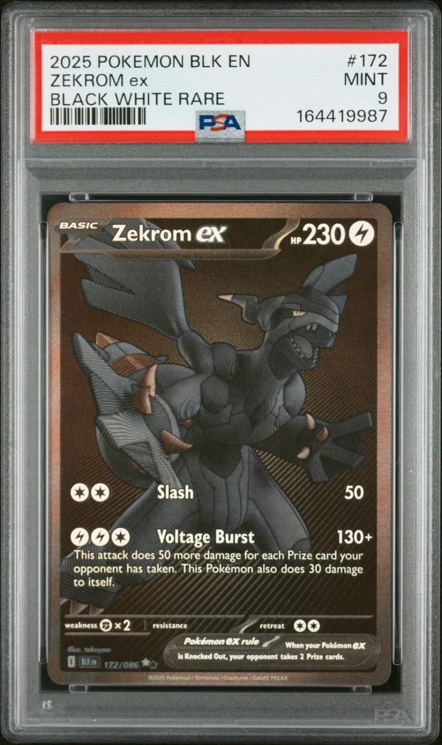 Zekrom Ex