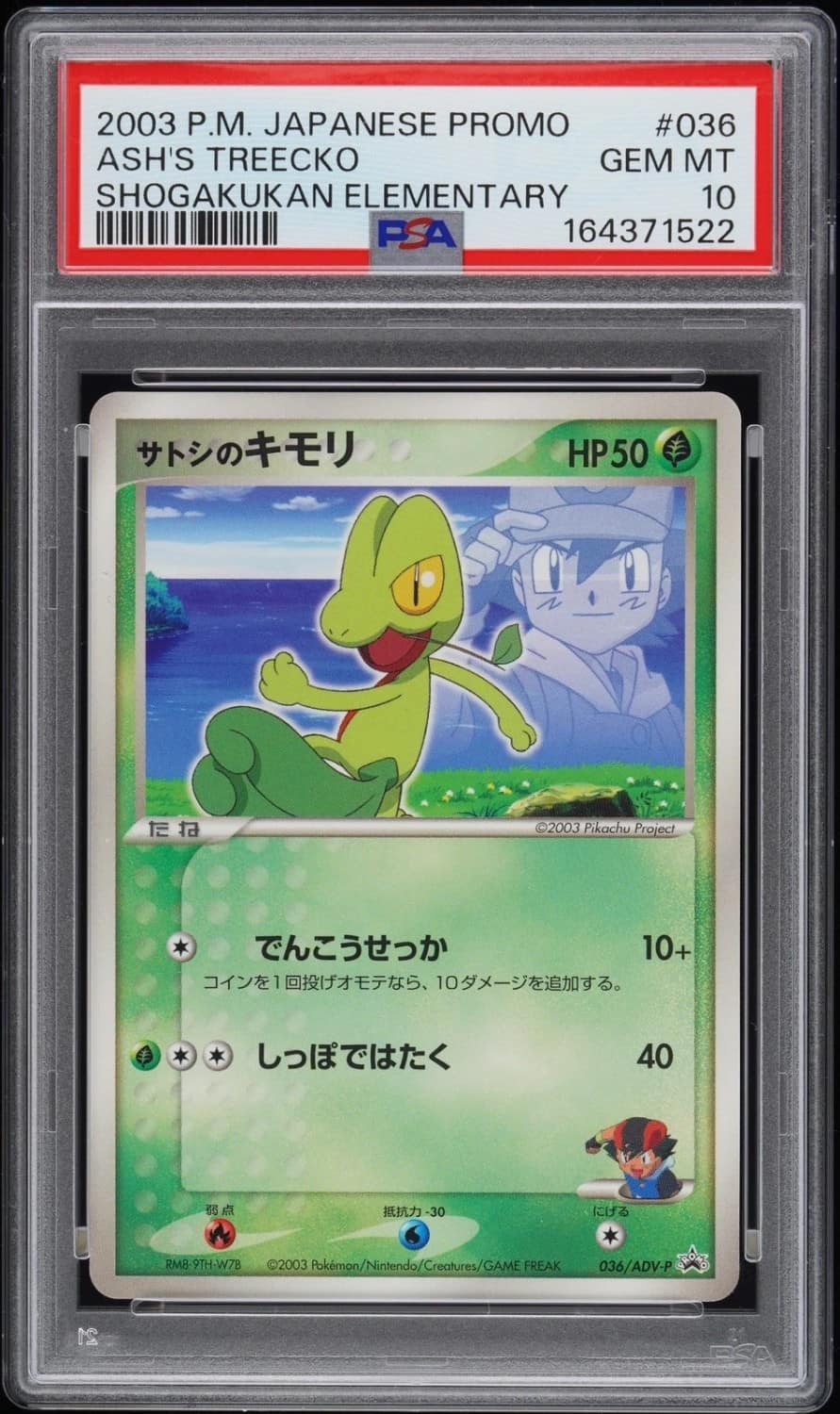 Ash'S Treecko