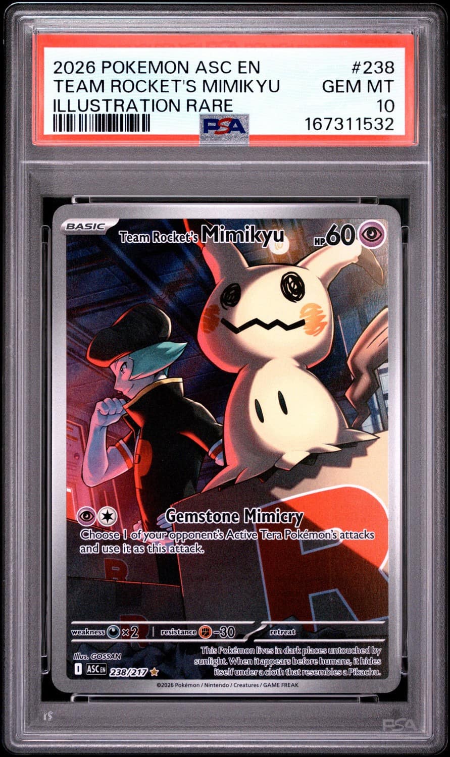 Team Rocket'S Mimikyu
