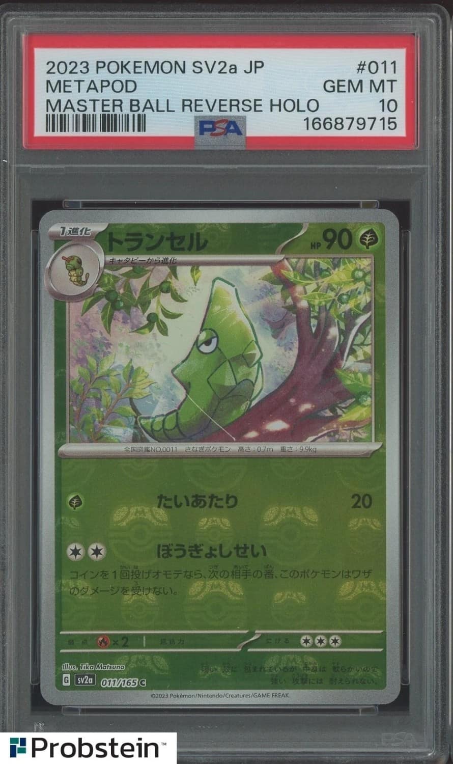 Metapod