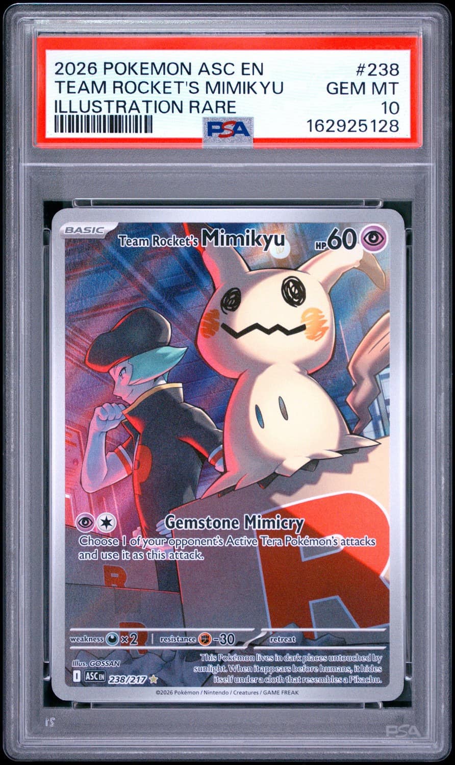 Team Rocket'S Mimikyu