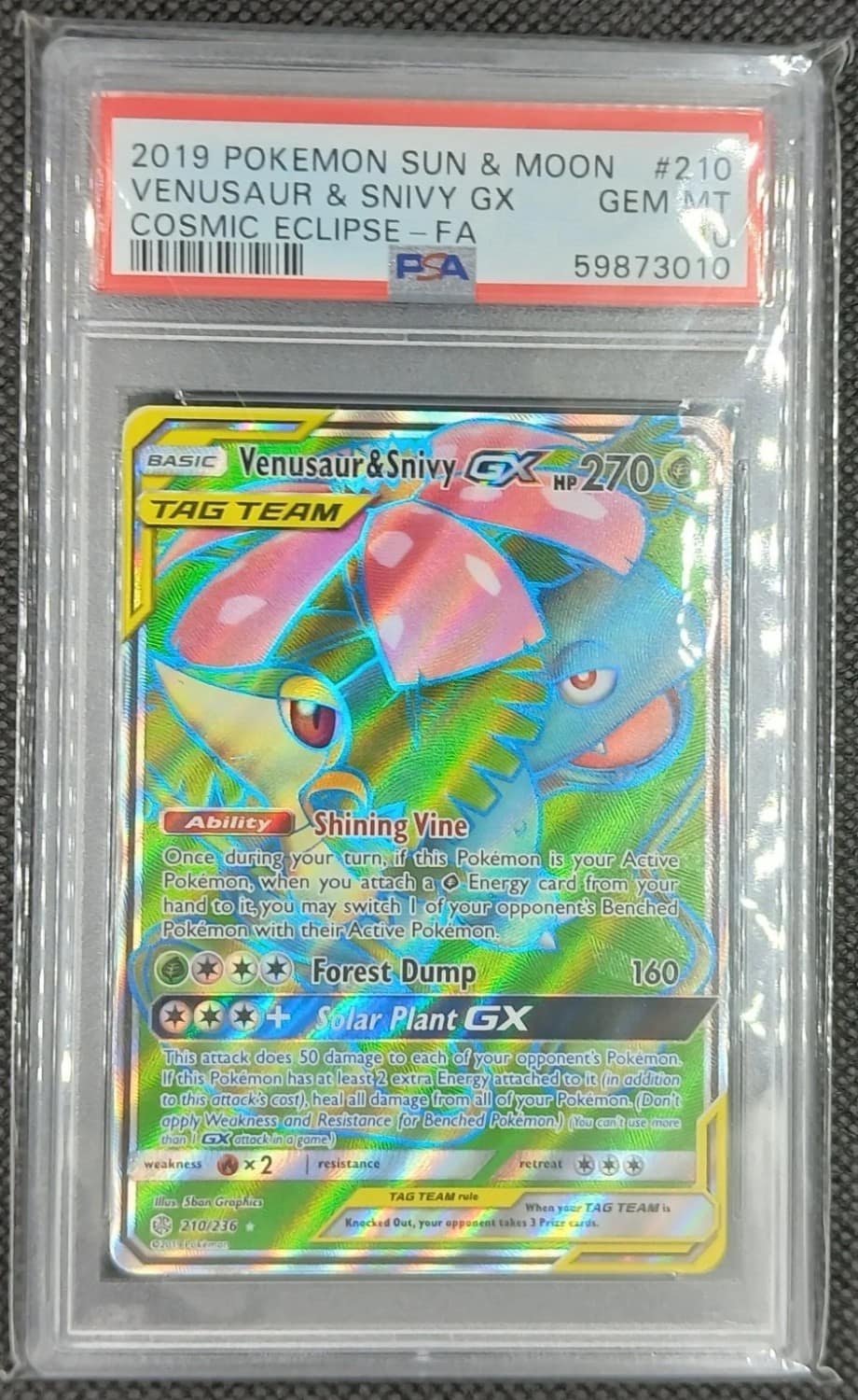 Venusaur & Snivy Gx