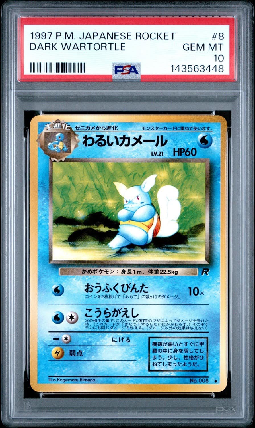 Dark Wartortle