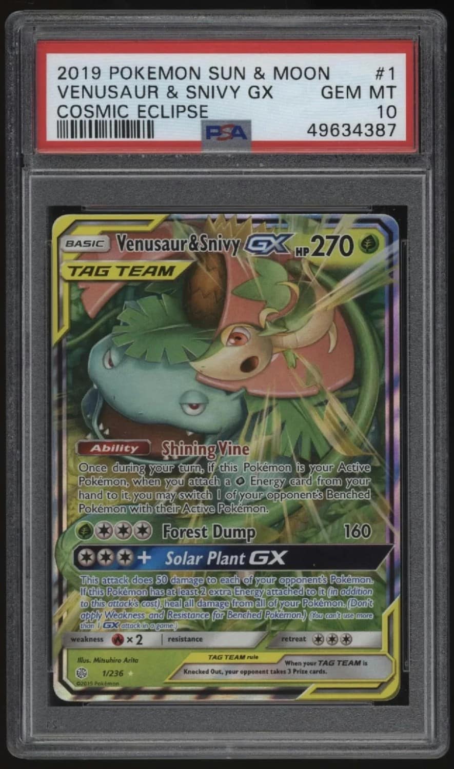 Venusaur & Snivy Gx
