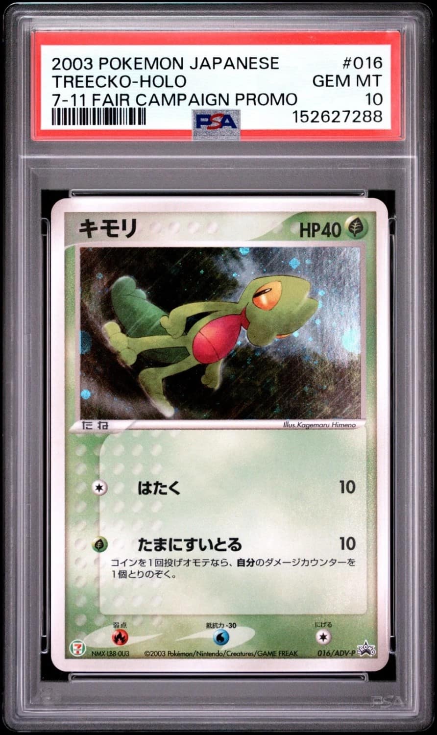 Treecko