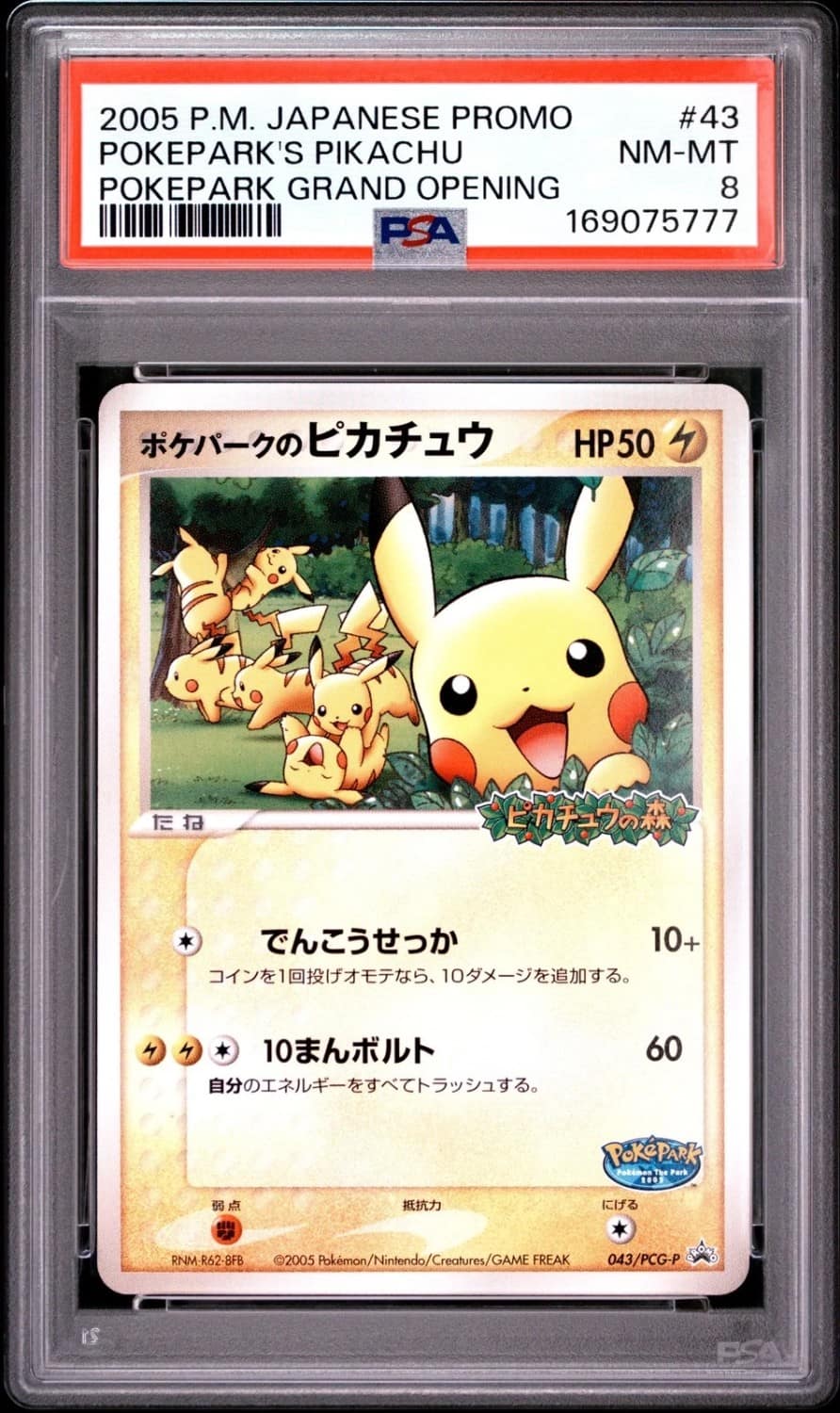 Pokepark'S Pikachu