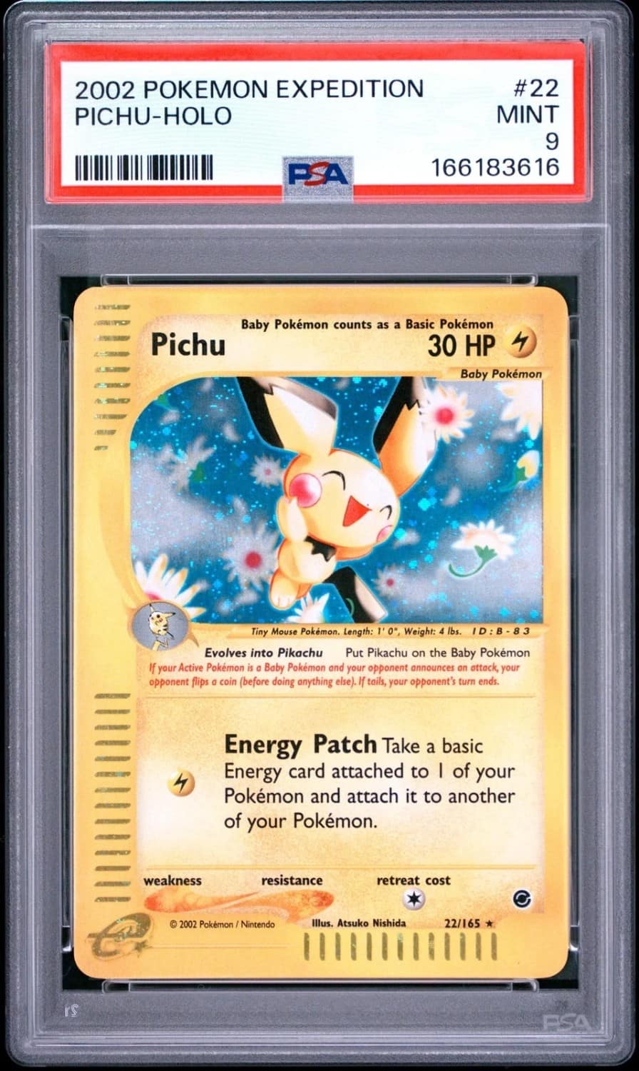 Pichu